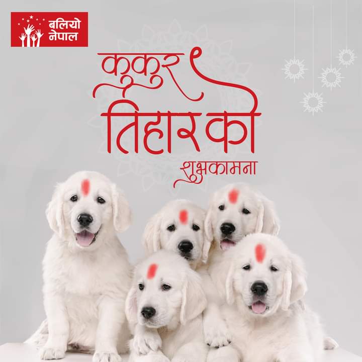 baliyonepal's tweet photo. कुकुर तिहारको शुभकामना
#abakonepalbaliyonepal #nutrition #childrenlikeeverest #festival #tihar #fyp https://t.co/sJ4iz1p6WJ