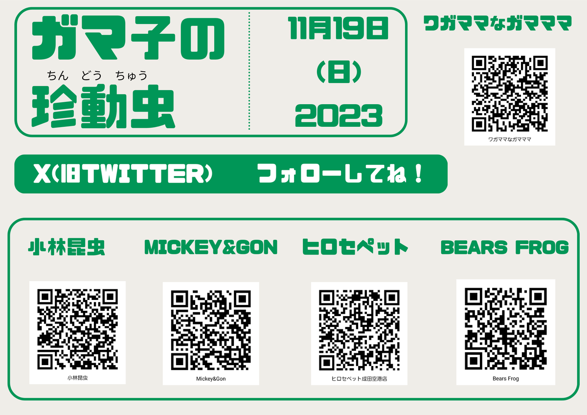 hikigaerumama's tweet photo. 💚いよいよ来週💚
他にも出展してくださる方々や、委託で販売できる商品など多数ございます✨️
入場無料💴
宜しくお願いいたします🙋
#渋谷イベント
#渋谷 https://t.co/F74n5DpX5X