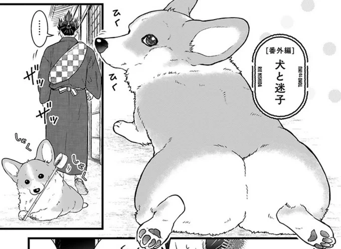 おしりが大変ふわふわです🍞
あ、番外編でもしゃくしゃくしていますね。

#殿と犬🐶
https://t.co/h22UFrnyIy 