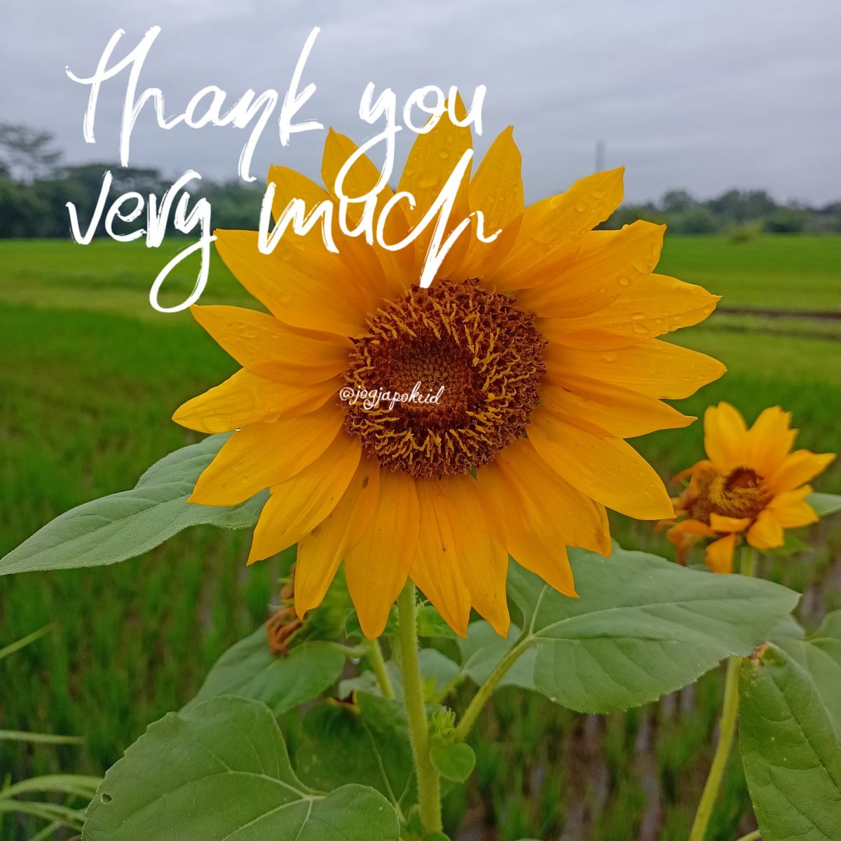 jogjapokeid (@jogjapokeid) on Twitter photo #F4F_Nusantara
#FollowGAIN
#TwFsClub
thank you so much
โฉโฝ <a href="/r95731/">๐ s a R a v ๐ ๐ฎ๐ณเคฎเฅเคฐเคพ เคญเคพเคฐเคค เคฎเคนเคพเคจ๐ฎ๐ณ ๐ฅฐ100 K+๐ฅฐ</a>
<a href="/shadow_cap/">FollowGAIN๐</a>
<a href="/TwFsClub/">Founder of โ๏ธ #TwFsClub</a>
<a href="/jogjapokeid/">jogjapokeid</a>
<a href="/gdb_st/">Bidhog_St ๐ฎ๐ฉ</a>
<a href="/ger97207/">Matthew Gerhard</a>
<a href="/geniyocah/">geniyocah</a>
<a href="/gftf618413/">ู
ุงูุง ุงูุฏูุณุฑู ๐ธ๐ฆโจ</a>
<a href="/gebowid886/">ุตูุฑ</a>
<a href="/Gendon2111/">Getuk</a>
@generasiunyu
<a href="/miarianmoreno/">MIRIAN_RD๐ฉ๐ด #LoveDMami โคAmigosDโค</a>
<a href="/_DeusaAthenna/">๐ฟ๐ชท ๐๐ฝ๐ฑ๐ฎ๐ท๐ท๐ช ๐ฟ๐ชท</a>
<a href="/ospina_campo/">Jorge Ospina Campo</a>
<a href="/GerakSosmed/">SOSMED GERAK</a>
<a href="/godhongcoffee/">Godhong_KW</a>
<a href="/GhoslyaKamlesh/">Kamlesh Ghoslya</a> #F4F_Nusantara
#FollowGAIN
#TwFsClub
thank you so much
โฉโฝ <a href="/r95731/">๐ s a R a v ๐ ๐ฎ๐ณเคฎเฅเคฐเคพ เคญเคพเคฐเคค เคฎเคนเคพเคจ๐ฎ๐ณ ๐ฅฐ100 K+๐ฅฐ</a>
<a href="/shadow_cap/">FollowGAIN๐</a>
<a href="/TwFsClub/">Founder of โ๏ธ #TwFsClub</a>
<a href="/jogjapokeid/">jogjapokeid</a>
<a href="/gdb_st/">Bidhog_St ๐ฎ๐ฉ</a>
<a href="/ger97207/">Matthew Gerhard</a>
<a href="/geniyocah/">geniyocah</a>
<a href="/gftf618413/">ู
ุงูุง ุงูุฏูุณุฑู ๐ธ๐ฆโจ</a>
<a href="/gebowid886/">ุตูุฑ</a>
<a href="/Gendon2111/">Getuk</a>
@generasiunyu
<a href="/miarianmoreno/">MIRIAN_RD๐ฉ๐ด #LoveDMami โคAmigosDโค</a>
<a href="/_DeusaAthenna/">๐ฟ๐ชท ๐๐ฝ๐ฑ๐ฎ๐ท๐ท๐ช ๐ฟ๐ชท</a>
<a href="/ospina_campo/">Jorge Ospina Campo</a>
<a href="/GerakSosmed/">SOSMED GERAK</a>
<a href="/godhongcoffee/">Godhong_KW</a>
<a href="/GhoslyaKamlesh/">Kamlesh Ghoslya</a>