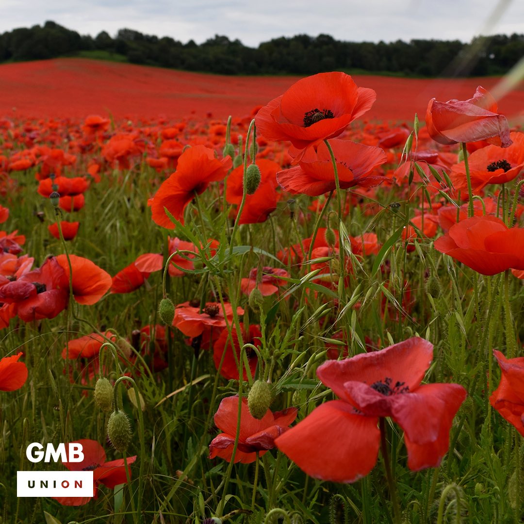 On this day we remember them. We will never forget. #RemembranceSunday
