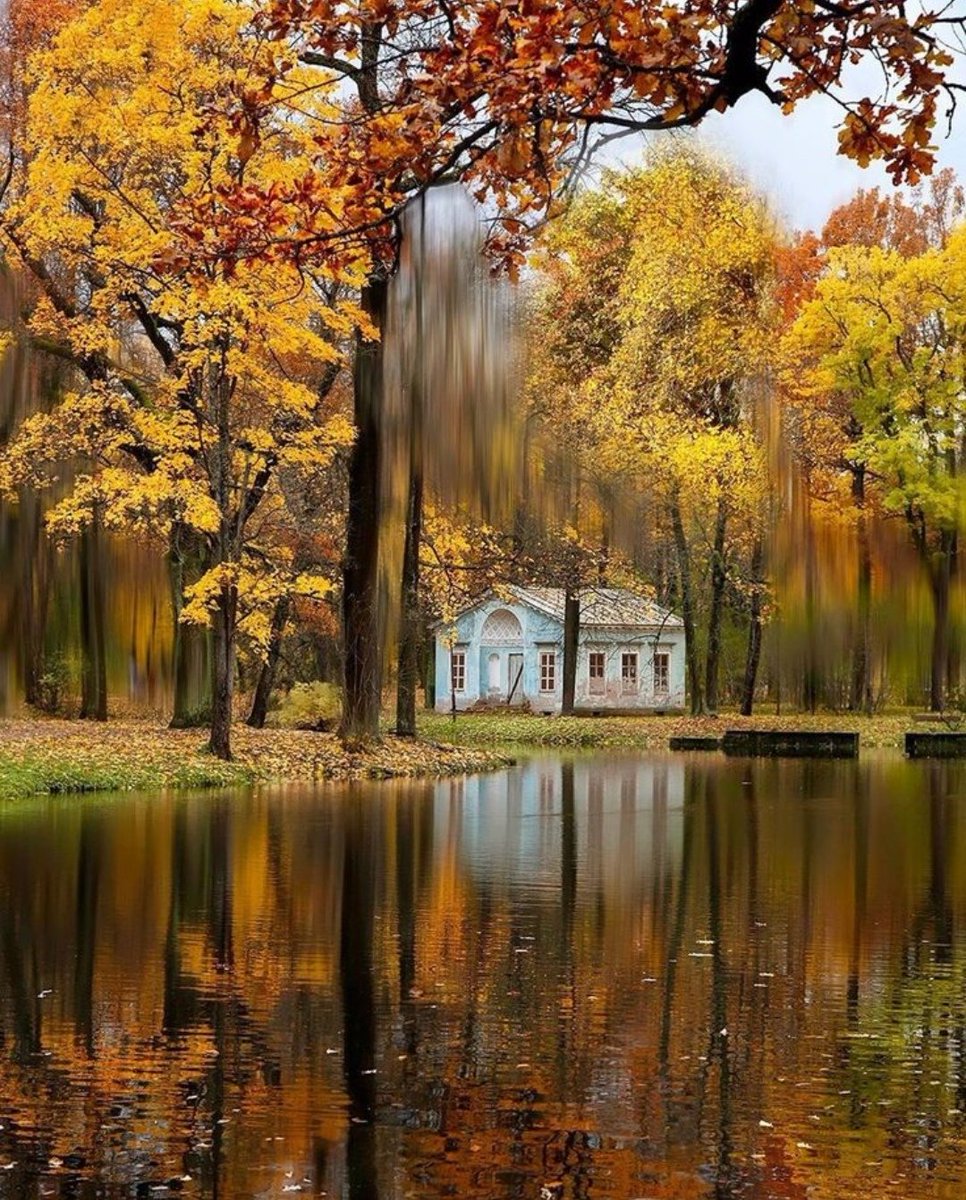 Arianna 🍀 tweet media