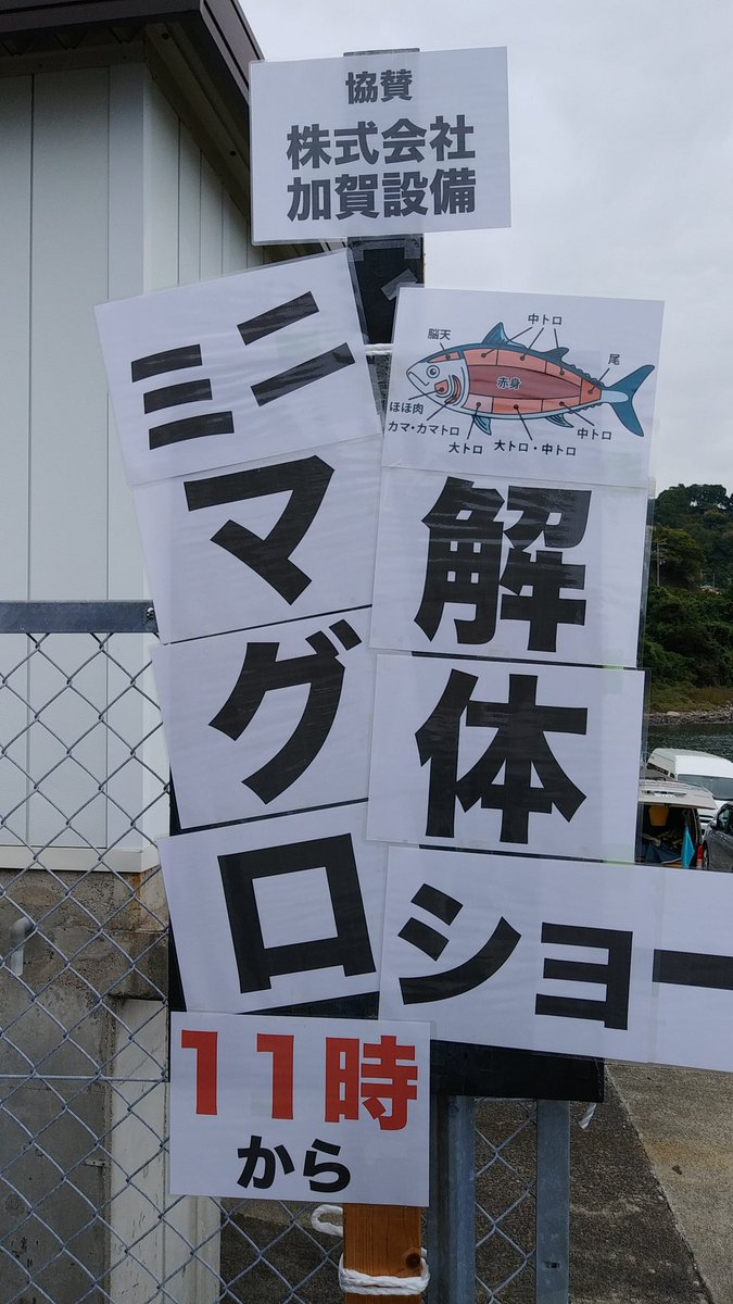 yoko_8008's tweet photo. 今日は(も)小田原市内。
江之浦で🤿
魚の群れ、
マグロ解体ショー、
素晴らしかったです😊
@dolphineyes_ds
#ダイビング
#小田原ダイビング
#ドルフィンアイズ
#神奈川ダイビング
#神奈川ダイビングショップ
#ダイビングスクール
#ダイビング免許
#IamSSI
#divessi
#MySSI
#ダイビングが上手くなりたい https://t.co/Zd8rTM7y3L