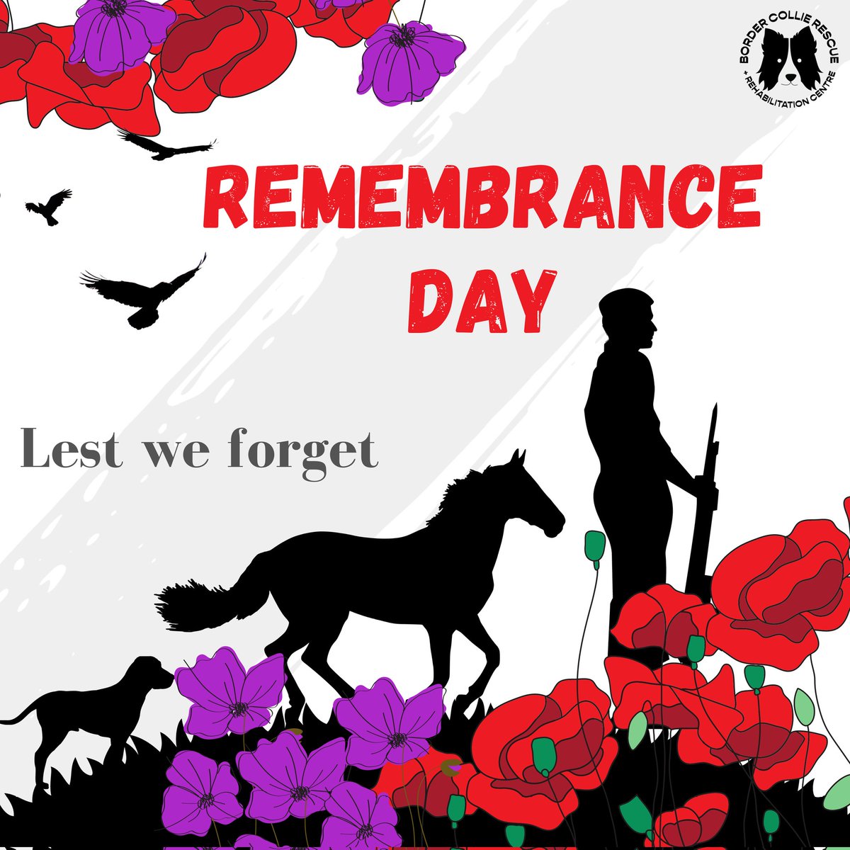 #RemembranceDay2023

#LestWeForget 🌺
#WeWillRememberThem 🧍‍♂️👩🐕🐴🐦‍⬛
#PoppyDay #PurplePoppy 

#RemembranceDay