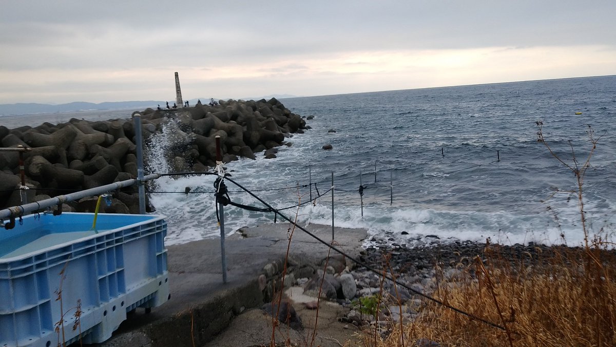 今日は(も)小田原市内。
江之浦で🤿
魚の群れ、
マグロ解体ショー、
素晴らしかったです😊
@dolphineyes_ds
#ダイビング
#小田原ダイビング
#ドルフィンアイズ
#神奈川ダイビング
#神奈川ダイビングショップ
#ダイビングスクール
#ダイビング免許
#IamSSI
#divessi
#MySSI
#ダイビングが上手くなりたい