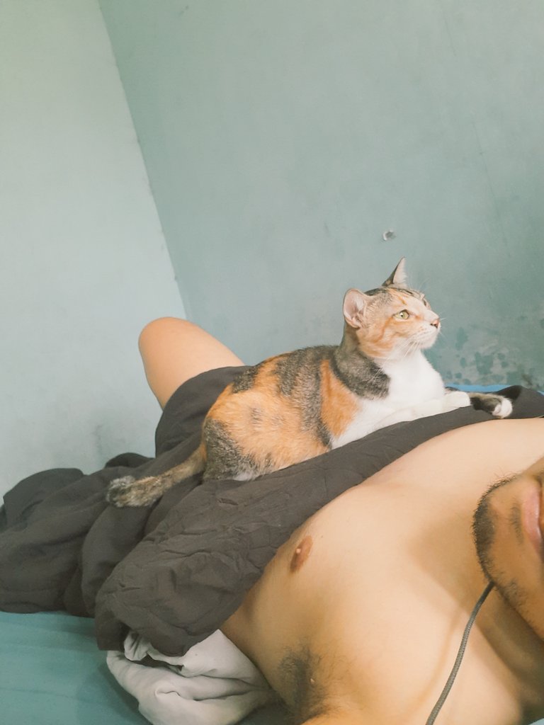 When my cat was kurang-ajarly prevent me from waking up.