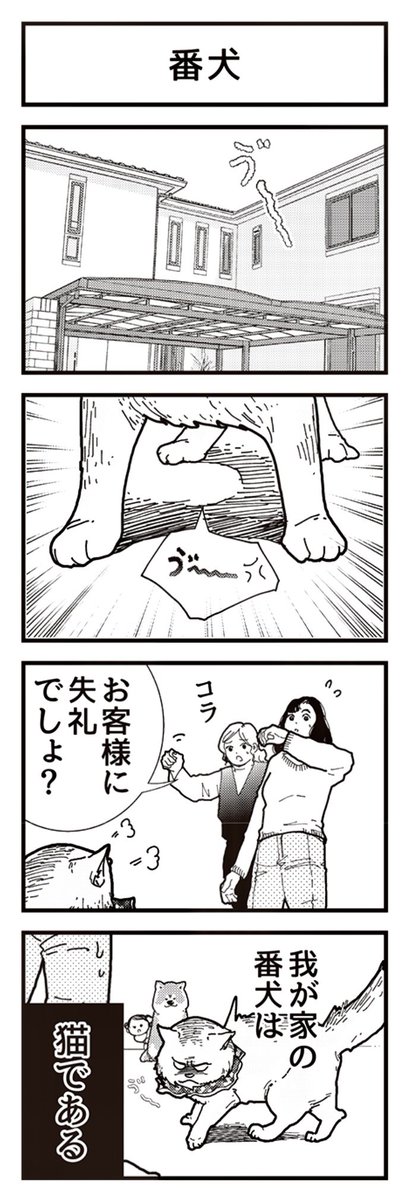 毎月12日は、ワンにゃんの日🐕🐈✨  4コマ漫画 『アルくんとシュシュちゃん』 最新話が更新されましたー!  【1話〜10話全て無料】  秋田犬と猫ちゃんの ほのぼの4コマをどうぞ!🐕🐈👶