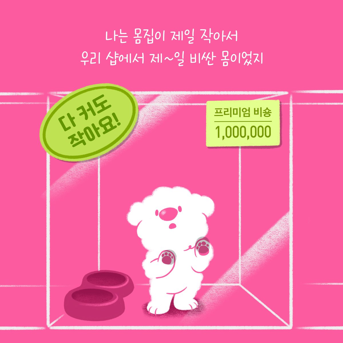weACTkorea's tweet photo. 난 견생 3개월차! 숑숑이야 
매일 매일 새로운 세상을 배워 가는 중이지. 

근데 말이야, 참 이상한 점이 있어. 
내가 태어난 곳이랑 이 세상이 너무 다르단 말이지!

한 번, 내 얘기를 들어볼래? https://t.co/gd7zXOVAKj
