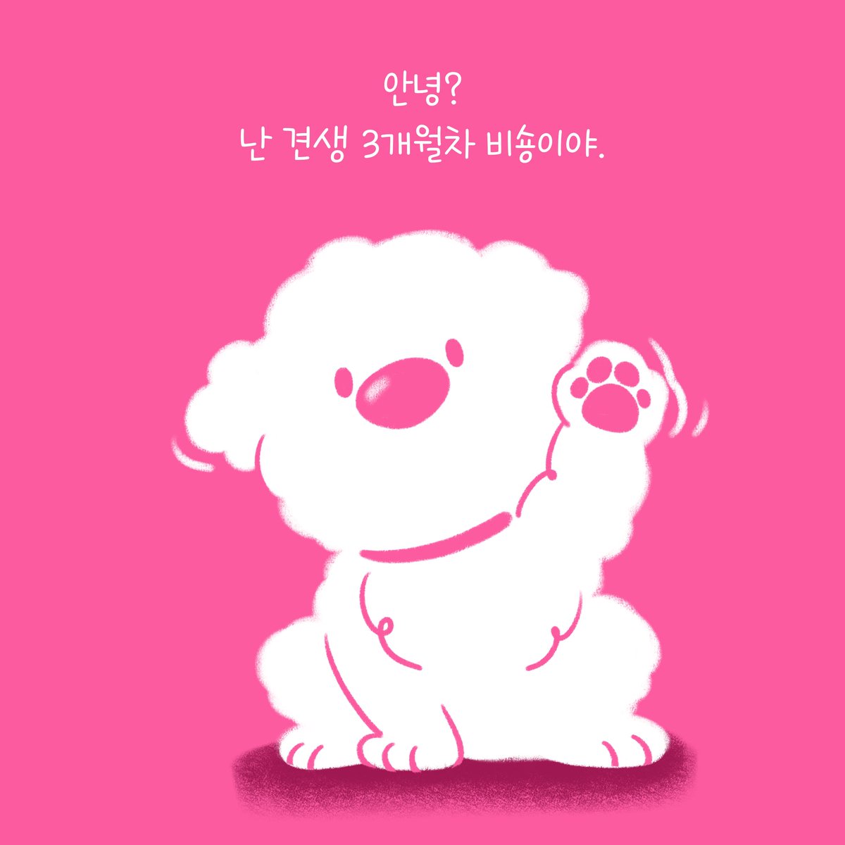 weACTkorea's tweet photo. 난 견생 3개월차! 숑숑이야 
매일 매일 새로운 세상을 배워 가는 중이지. 

근데 말이야, 참 이상한 점이 있어. 
내가 태어난 곳이랑 이 세상이 너무 다르단 말이지!

한 번, 내 얘기를 들어볼래? https://t.co/gd7zXOVAKj