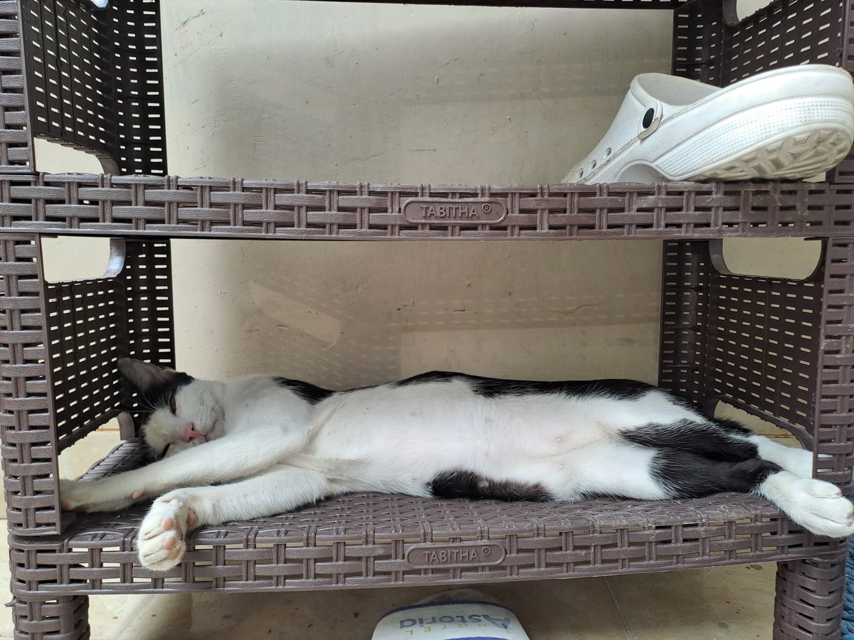 hildawigati's tweet photo. Emang bolehhhh sandal2 di jatohin jadi tmpt tidurmuuu cinggggg.... https://t.co/2QCfNu5qQq