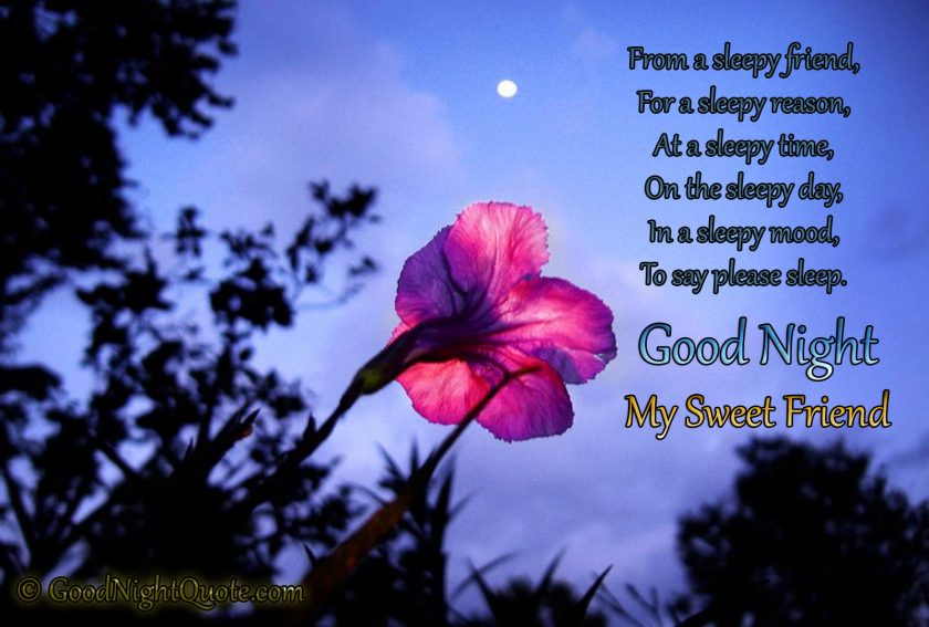 VideoButchers's tweet image. From a sleepy friend, For a sleepy reason, At a sleepy time, On the sleepy day, In a sleepy mood, To say please sleep well.