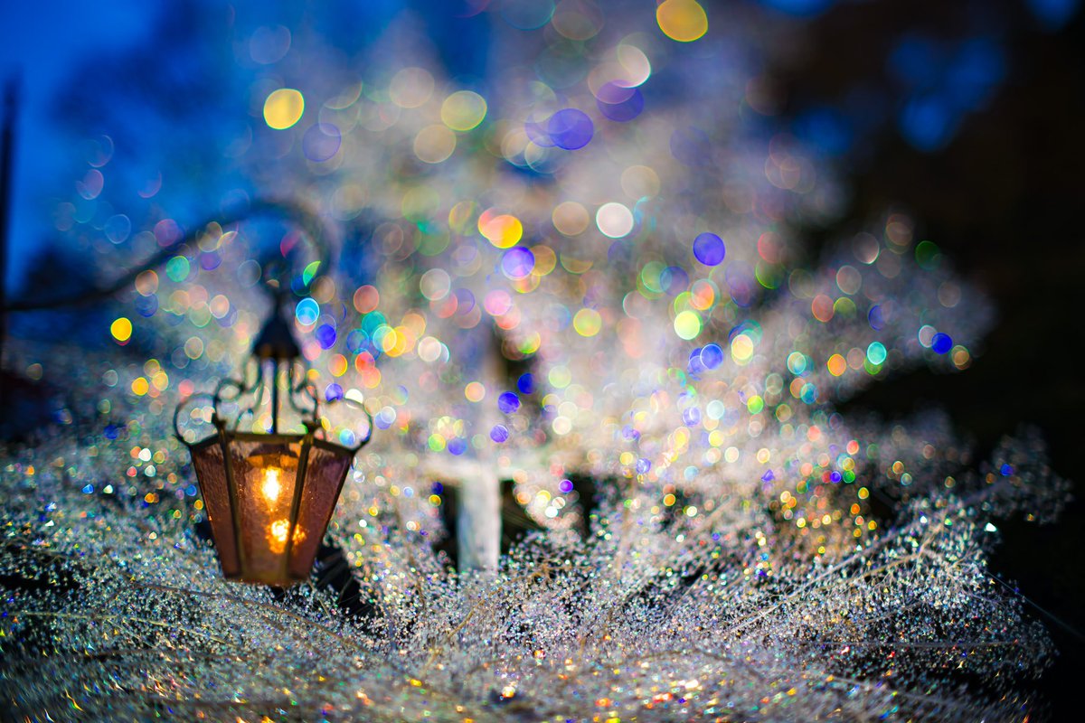 bori_chan's tweet photo. ガラスのクリスマスツリー✨
#ガラスの森美術館
#SONY #a7CII
#TTartisan #tilt50
#FUJIFILM #XE4
#SIGMA #1018 #ProsoftonClear
https://t.co/8OrLPYQBBV https://t.co/yPuy7ssVLp