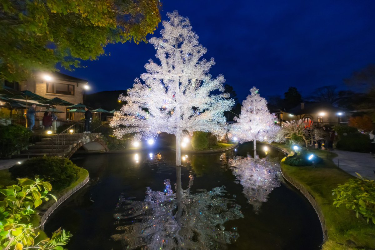 bori_chan's tweet photo. ガラスのクリスマスツリー✨
#ガラスの森美術館
#SONY #a7CII
#TTartisan #tilt50
#FUJIFILM #XE4
#SIGMA #1018 #ProsoftonClear
https://t.co/8OrLPYQBBV https://t.co/yPuy7ssVLp