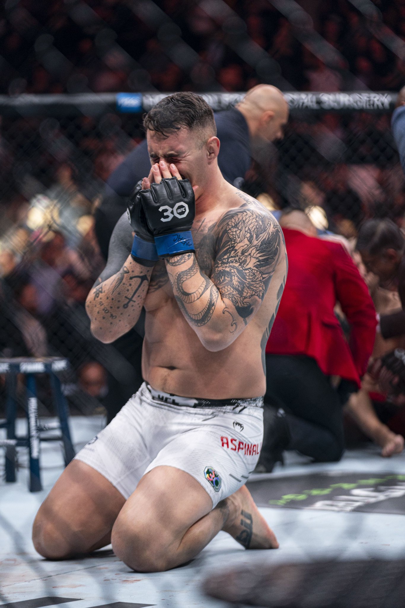 海外製 モスカート120P 6個 UFC他 29661-009 - FOX RACING