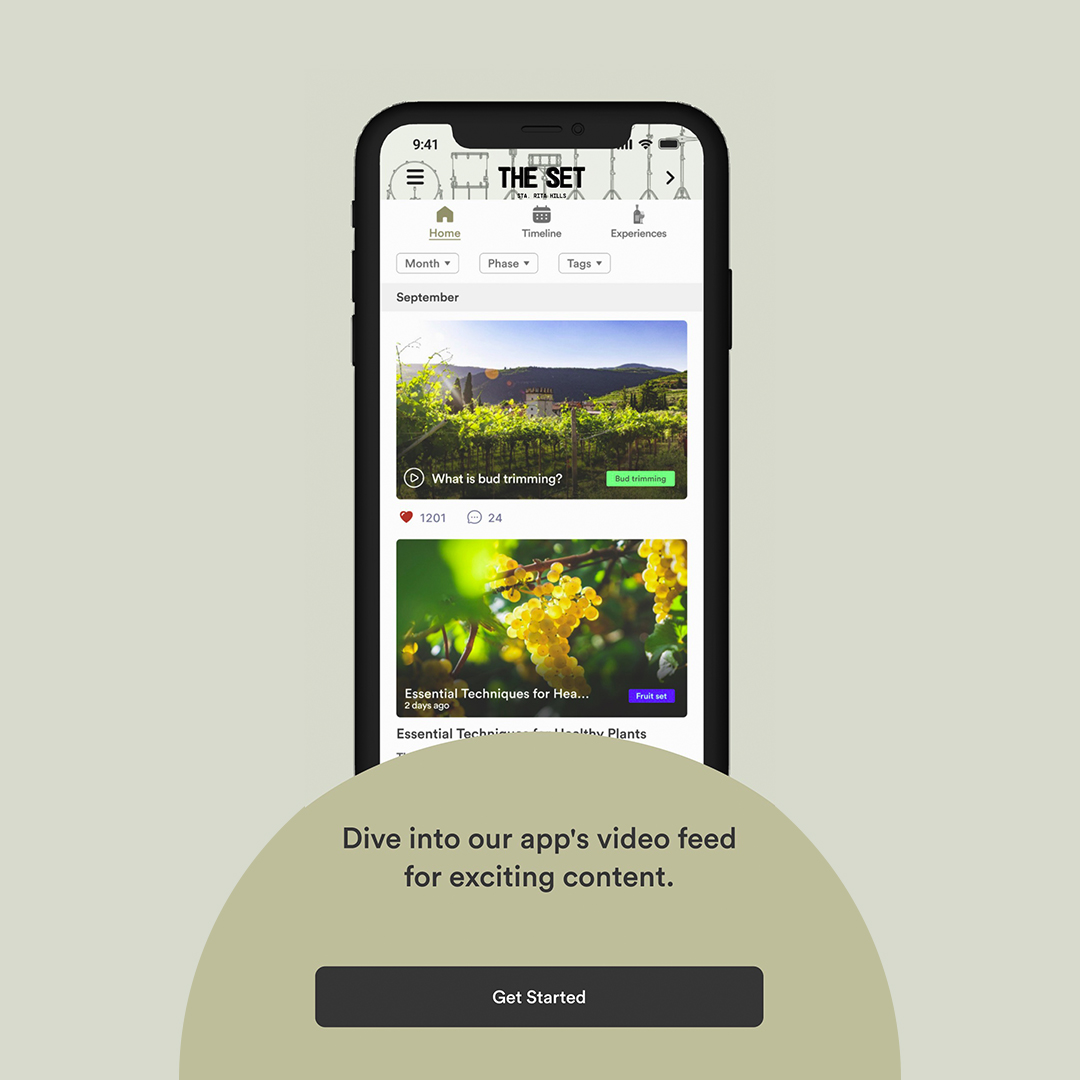 Want to learn more about winemaking and wine from world-renowned experts? 

The Winegrower app has you covered.  

Coming soon! Like and follow for updates!