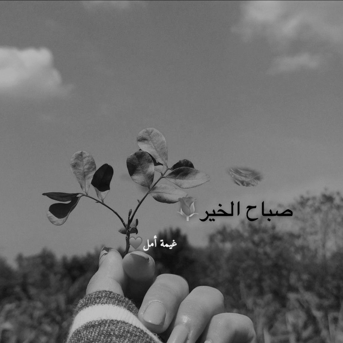 ونعوذ بگ ياالله. من تغيُّر القلوب بدون حجّة، ومن عداوةٍ تأتي بعد المحبّة، 
ومن الخيبة فيمن أحسنّا يومًا 
      الظن بهم.⚡️🖤♥️

  #صباح_الخير 💐