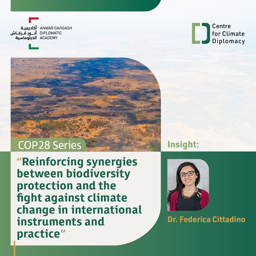 In the latest insight from the Centre for Climate Diplomacy, this analytical view shows the loss of biodiversity and its relationship to climate change as both challenges are inseparable and need to be addressed synergistically. To read the full insight, please visit the link