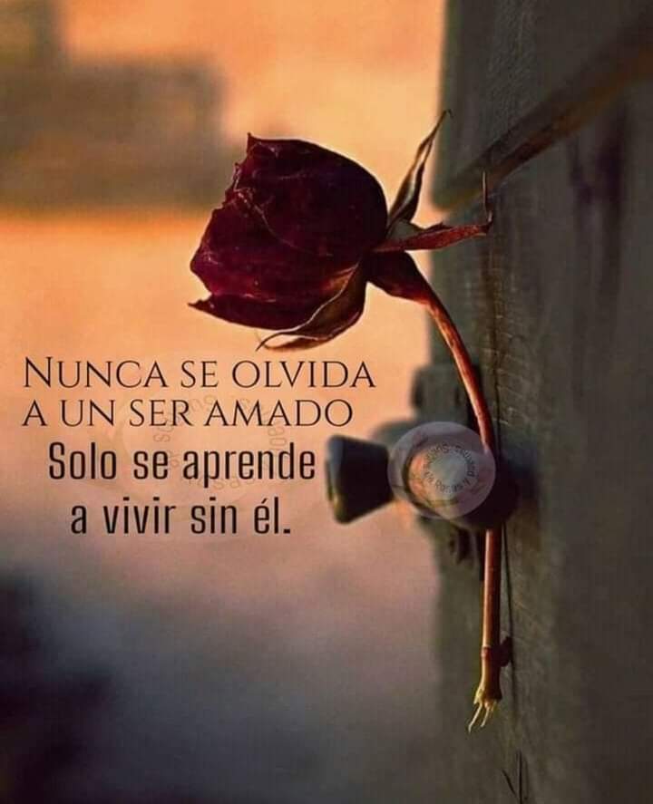 VidaEquilibrada (@vidaequilibrad4) on Twitter photo 