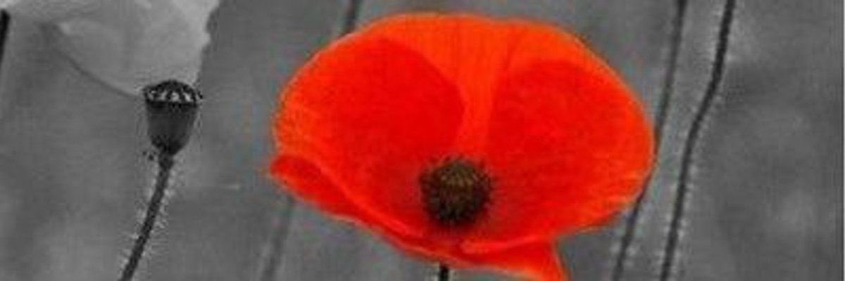 They shall grow not old, as we that are left grow old.  Age shall not weary them, nor the years condemn.  At the going down of the sun and in the morning, we shall remember them #LestWeForget  #ArmistaceDay