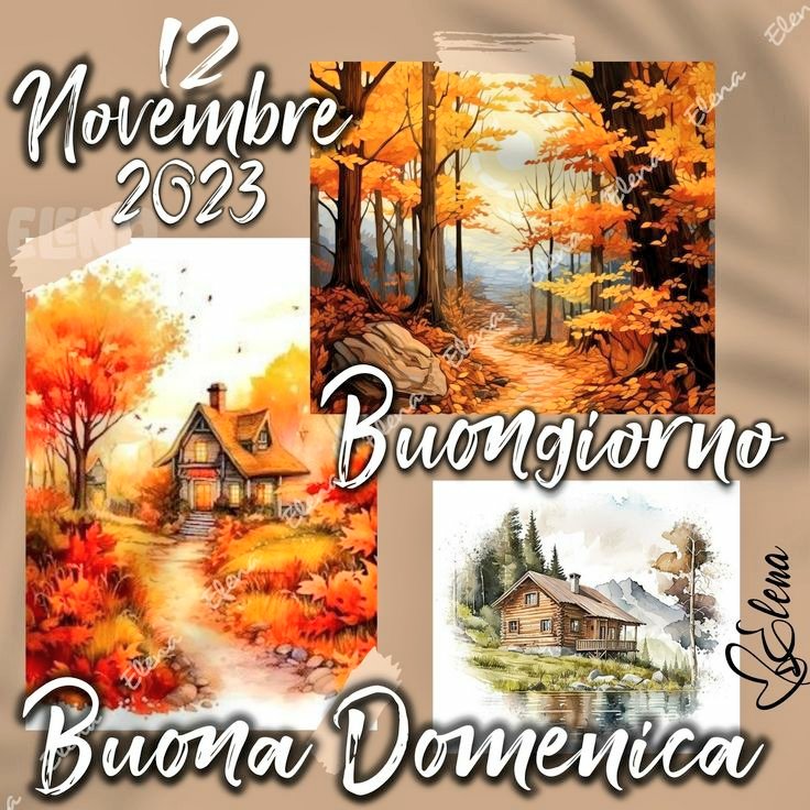 #12novembre Buona domenica ☕🌻🍃🍁