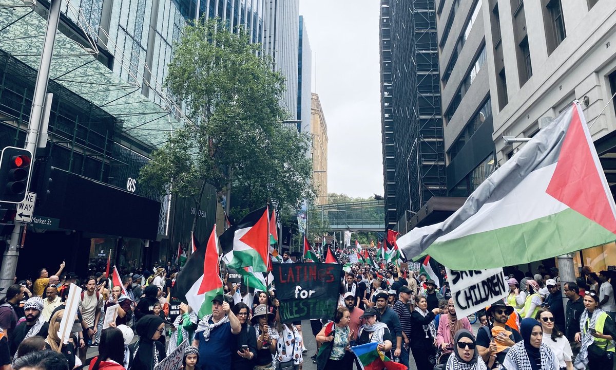 Free Gaza Australia tweet media