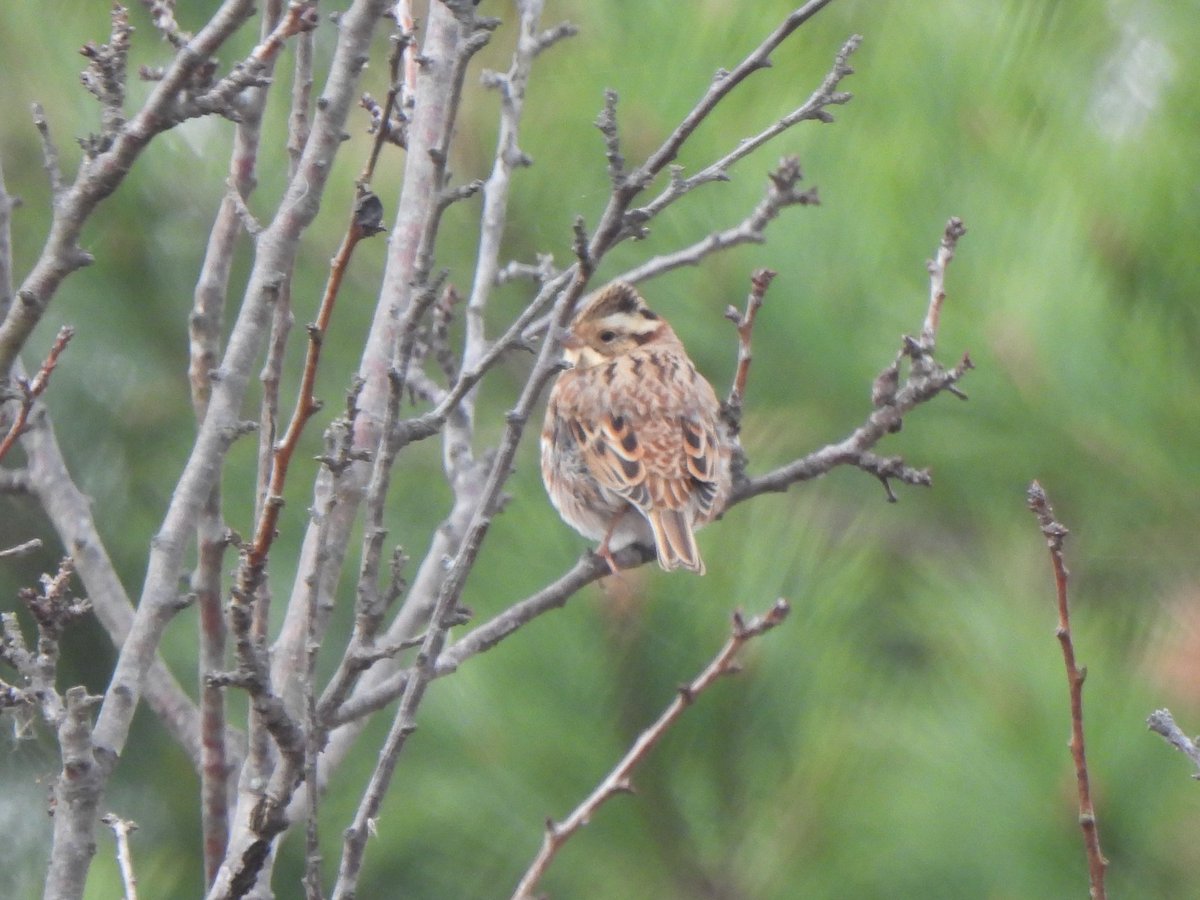 내 심장을 뿌수는 동그라미 ㅠㅠ
-국립세종수목원