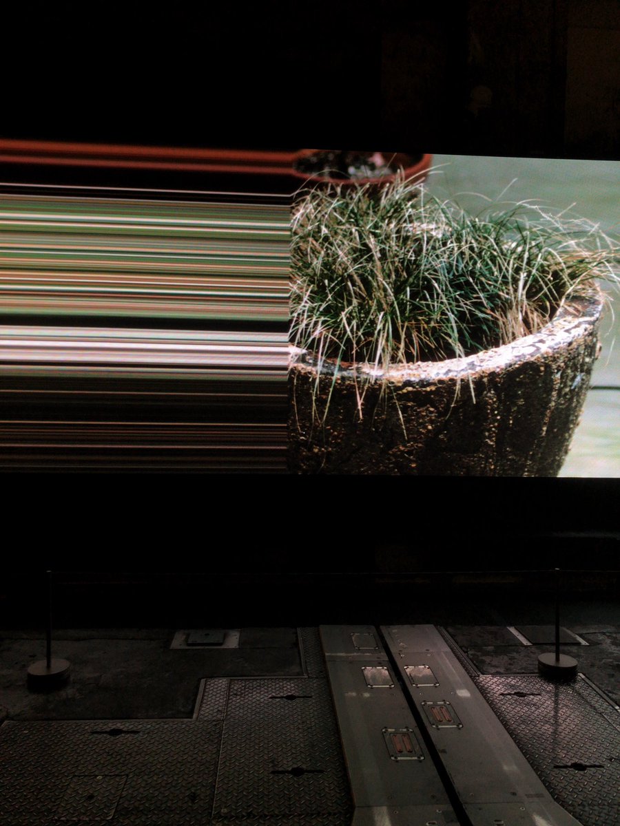 simoon_2022's tweet image. 京都の紅葉🍁
セレクション
#ryuichisakamoto
#shirotakatani 
#async