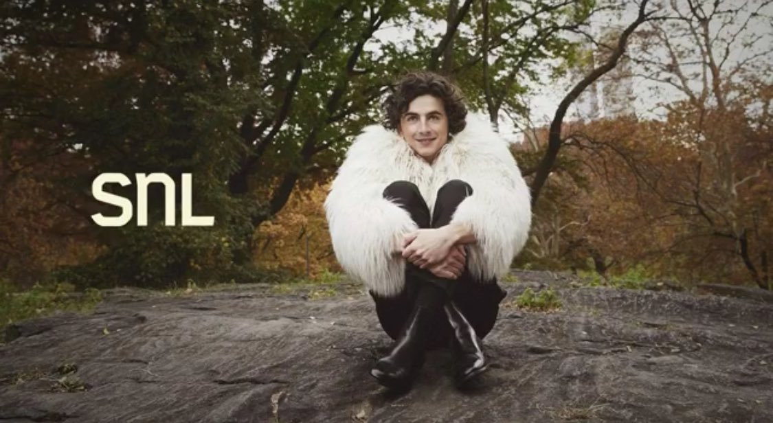 Timothée Chalamet Updates tweet media