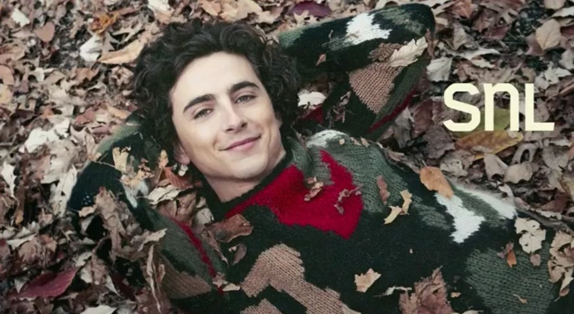 Timothée Chalamet Updates tweet media