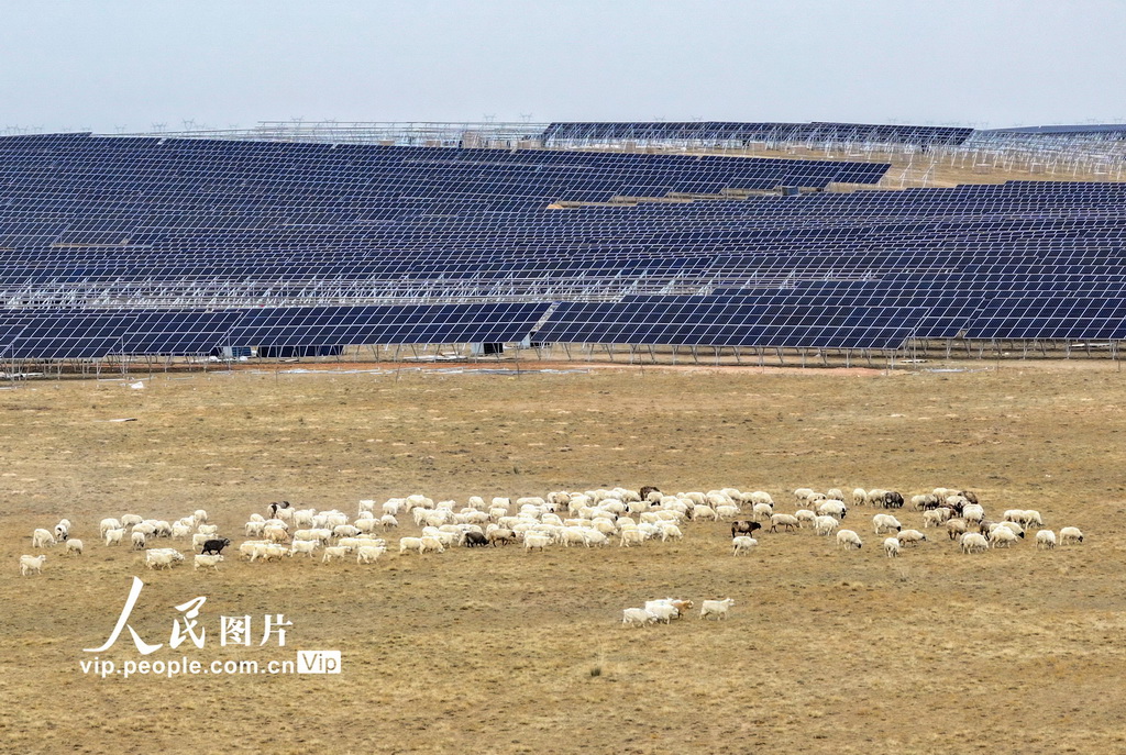 People's Daily, China tweet media