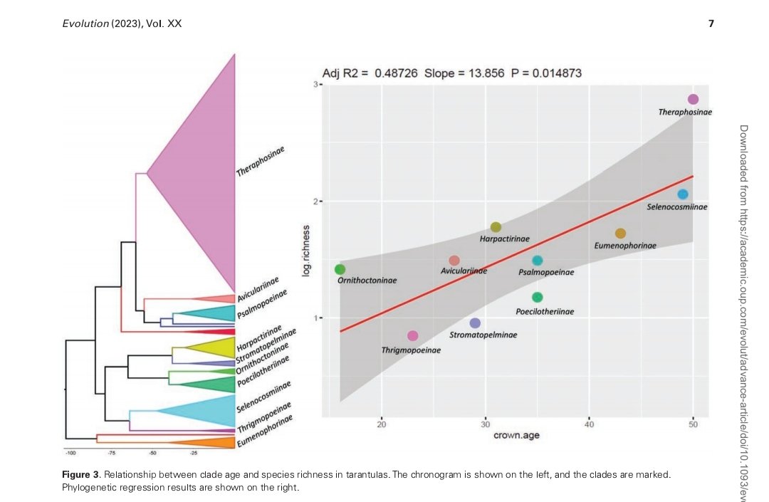New paper alert!! 
The second chapter from my PhD just got published in <a href="/journal_evo/">Evolution Journal</a> . 
Here we tested a bunch of hypotheses to explain the extreme asymmetry of species richness distribution across different tarantula subfamilies. Continued.....