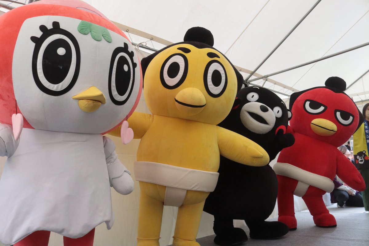 初日の様子＞ くまモンが応援に来てくれました！ #sumo #相撲 #十一月