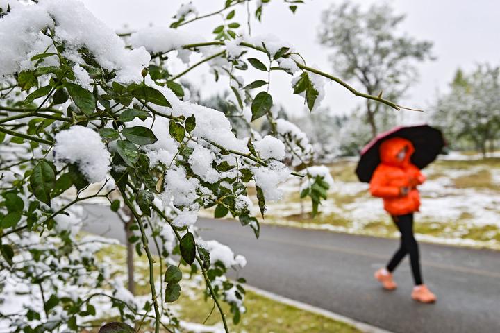 XinhuaItalia's tweet photo. Una cittadina passeggia in un parco nella città di Qingzhou, nella provincia cinese orientale dello Shandong, l'11 novembre 2023. Lo Shandong ha salutato ieri la prima nevicata dell'inverno di quest'anno.
#PrimaNeve ❄️ #Inverno2023 ☃️ #ShandongInnevato 🌨️ #MagiaDellaNeve ❄️ https://t.co/M19EAUU5Si