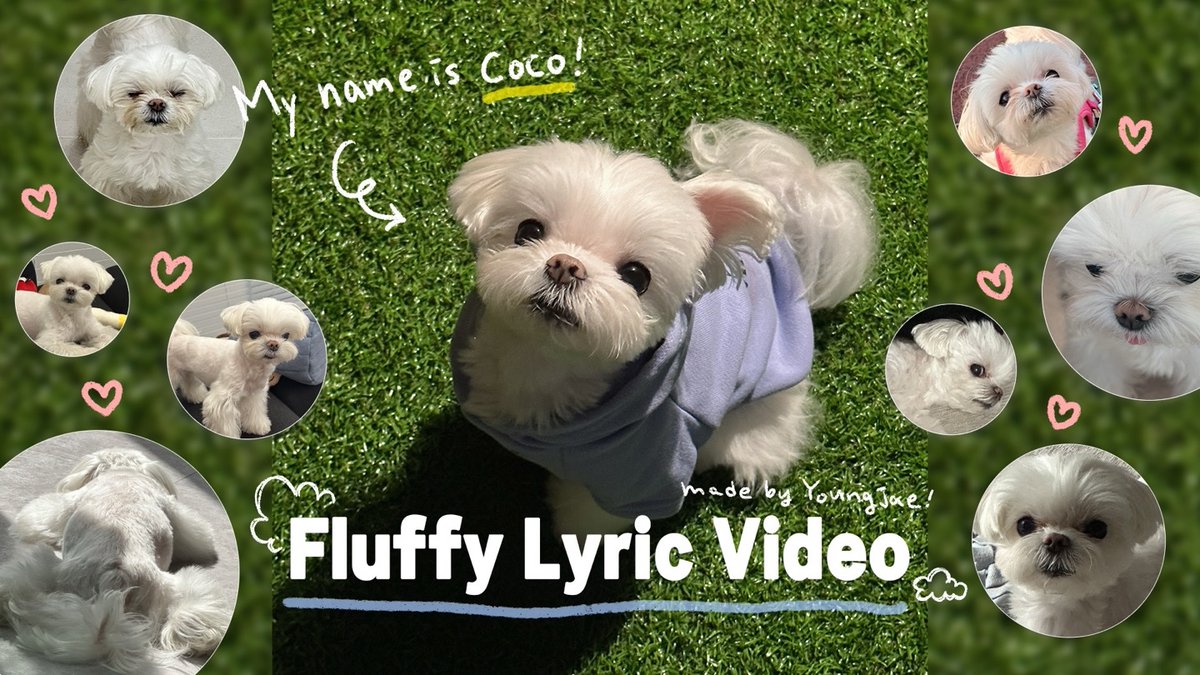 영재(Youngjae) ‘Fluffy' Lyric Video🐶
🎥 youtu.be/vPtpc0DQhoE

#영재 #YOUNGJAE 
#DoIt #두잇
#플러피 #Fluffy
#fluffychallenge 
<a href="/GOTYJ_Ars_Vita/">N</a>