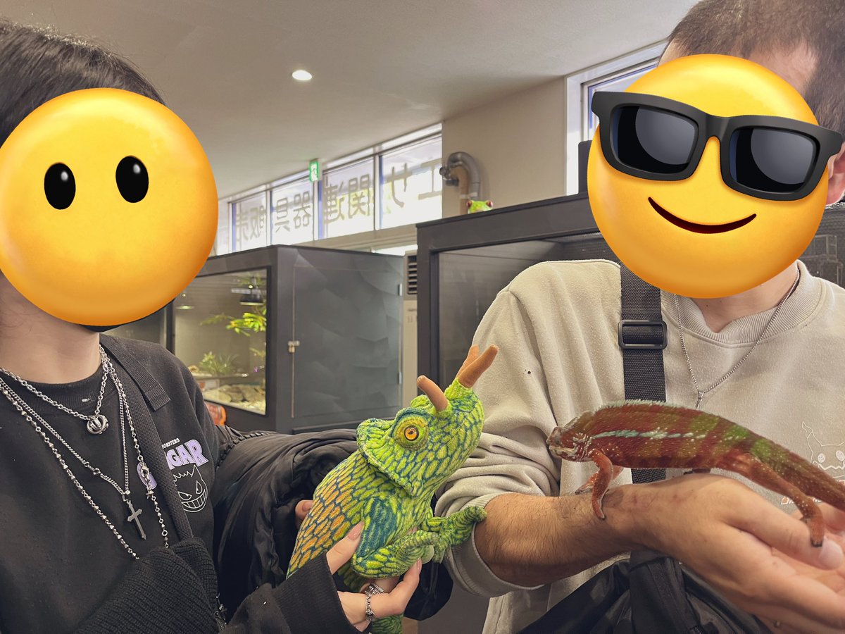NNS___rep's tweet photo. 北のレプ舎＆Repty house🍀
遠方特典で特別に生体出していただいたりして、めちゃくちゃ楽しかった〜！最高でした😭💗
生体みんな可愛くて賢いし、職員の皆様も沢山お話して下さって嬉しかった🙌ほんで館長めちゃくちゃ優しいしめちゃくちゃおもろかった✊また北海道来たら絶対お邪魔します✊ https://t.co/ACO5Xbh1lS