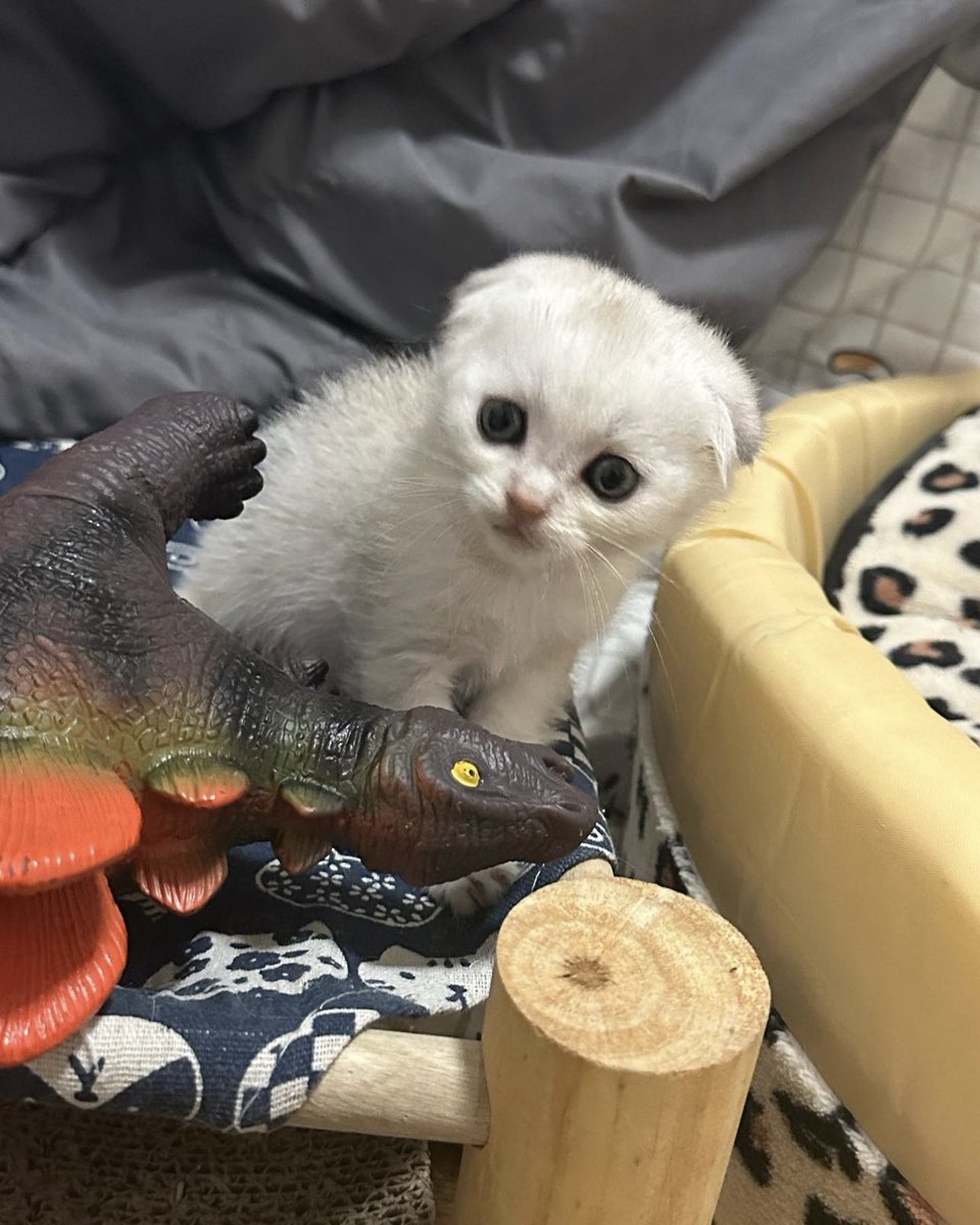 OFFROAD 🚗 tweet media