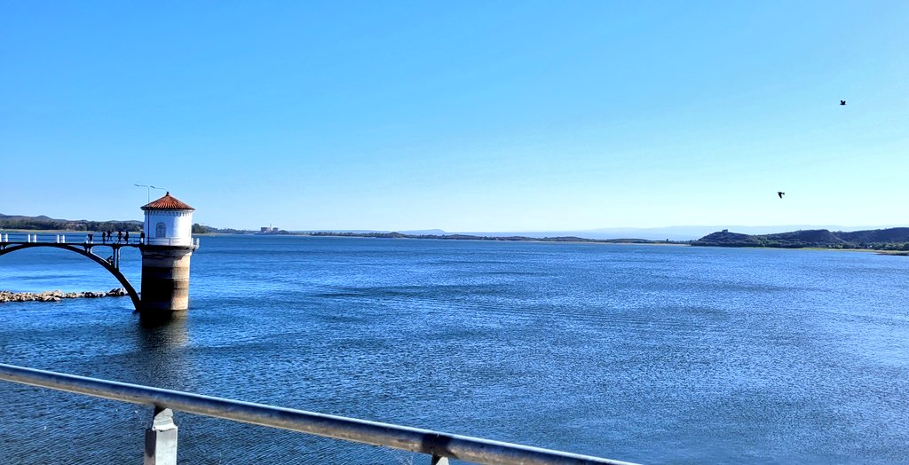 J. Ignacio Respuela tweet media