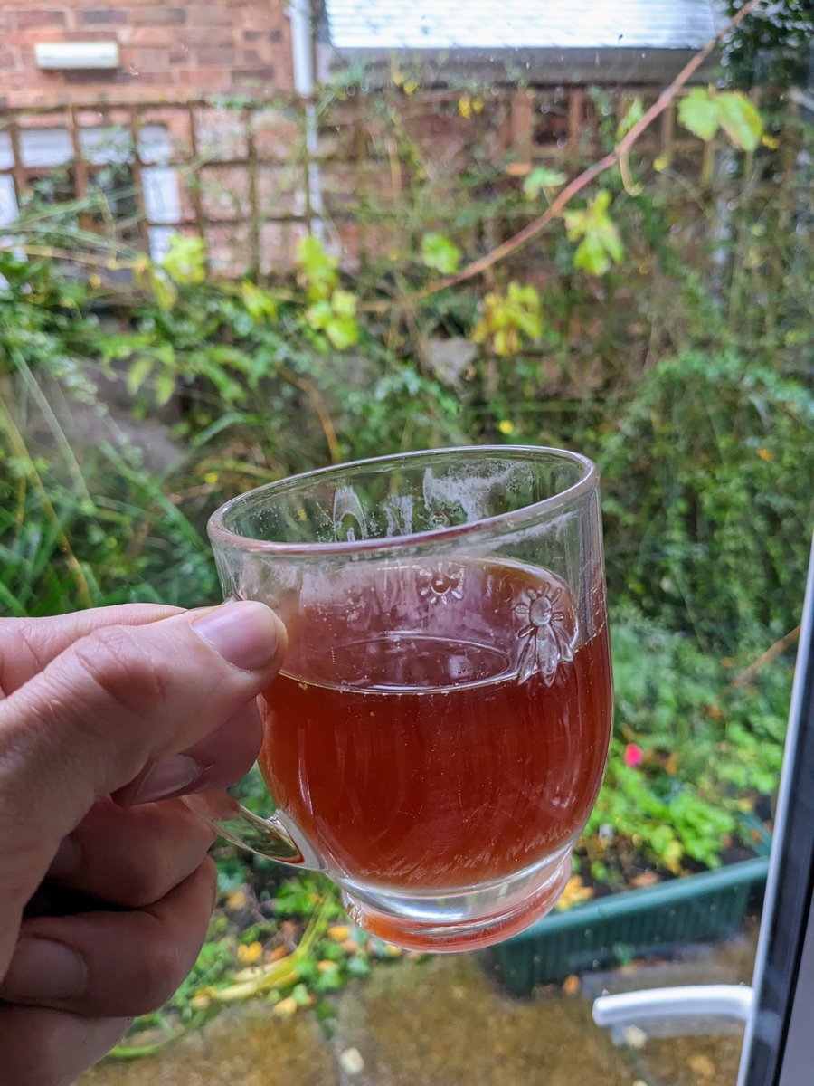 JJ Phillips (@proteinmotion) on Twitter photo The beer is racked! 2.8% so far and gorgeous amber colour. Still on schedule for the <a href="/LSI_Exeter/">LSI Exeter</a> party 🎉 The beer is racked! 2.8% so far and gorgeous amber colour. Still on schedule for the <a href="/LSI_Exeter/">LSI Exeter</a> party 🎉