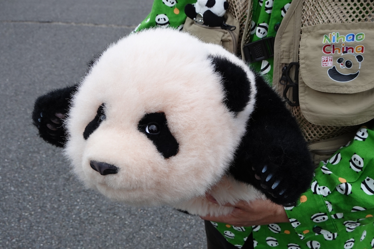 抱っこシャンシャン パンダ ぬいぐるみ 園内ギフトショップより