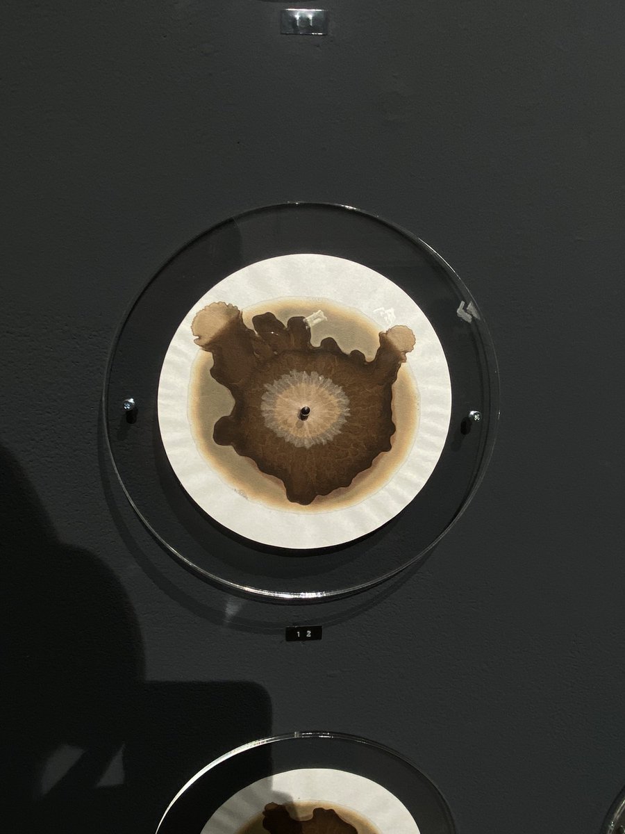 Catharina Neumann tweet media