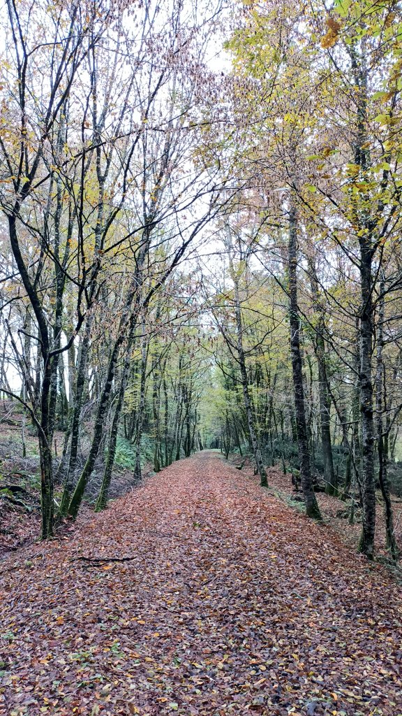 Andy&Viq tweet media