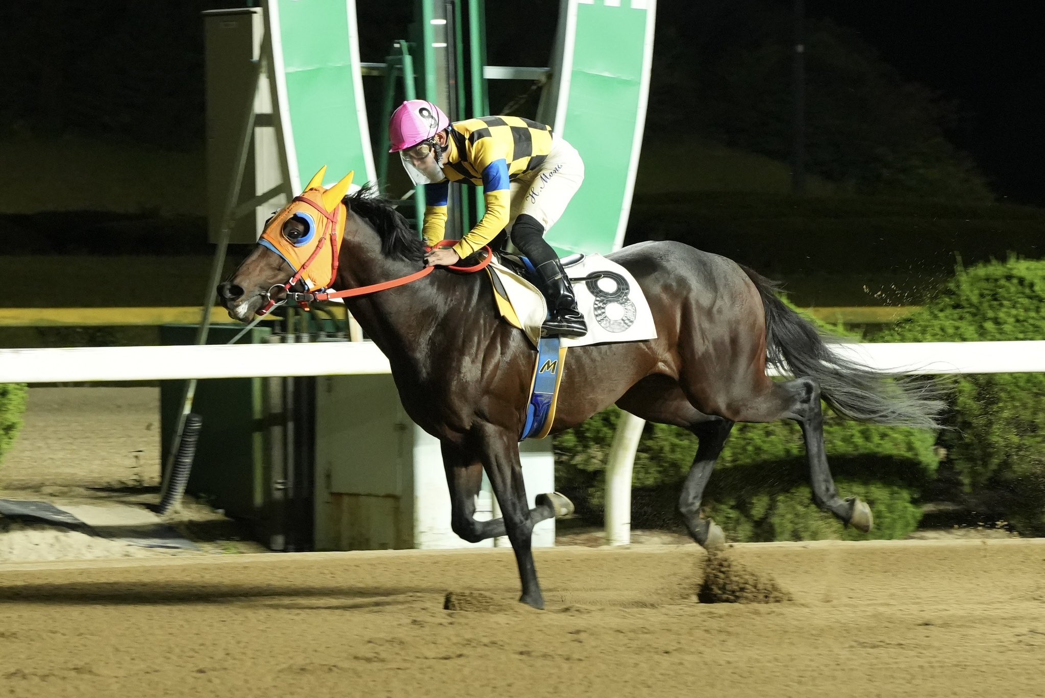 さがけいば(佐賀競馬場) on X: さがけいば(佐賀競馬場) on X: