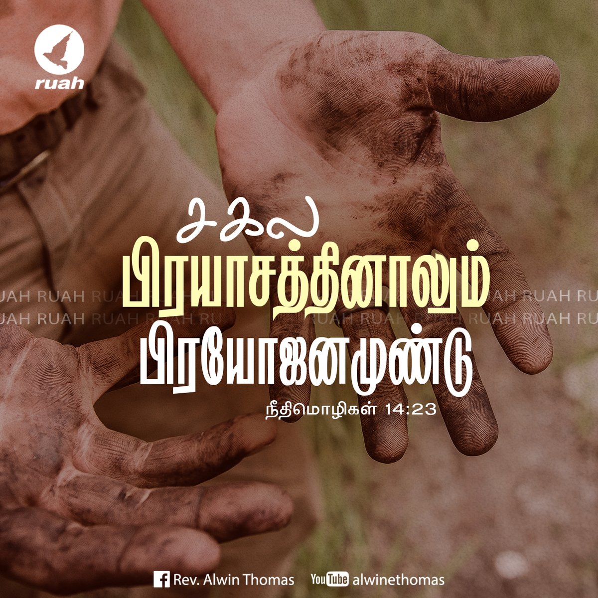 alwinthomas's tweet photo. Proverbs 14:23 - "All hard work brings a profit.."
#dailyverse #dailymanna #dailybread #dailyquotes #proverbs1423 #promiseword #ruah #ruahministries #ruahtv #awinthomas #ruahrevivalcenter #bibleverse https://t.co/h9jGyX7zUt