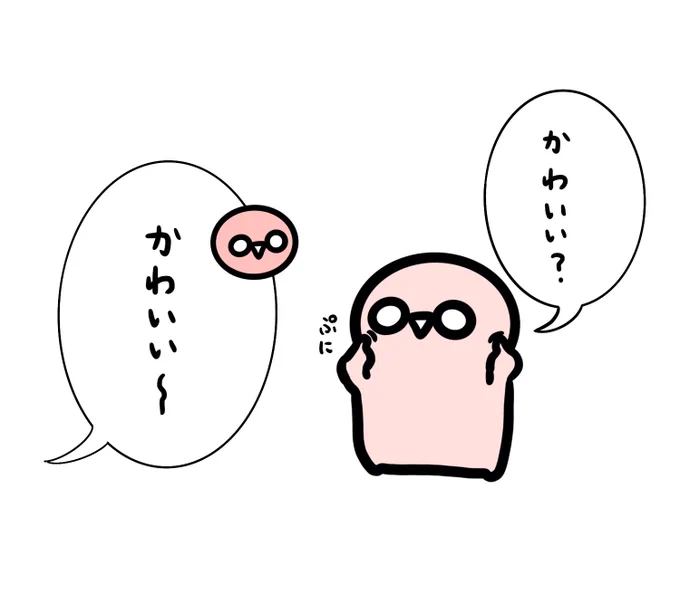 最近のコチビさん 自分の魅力が分かってる