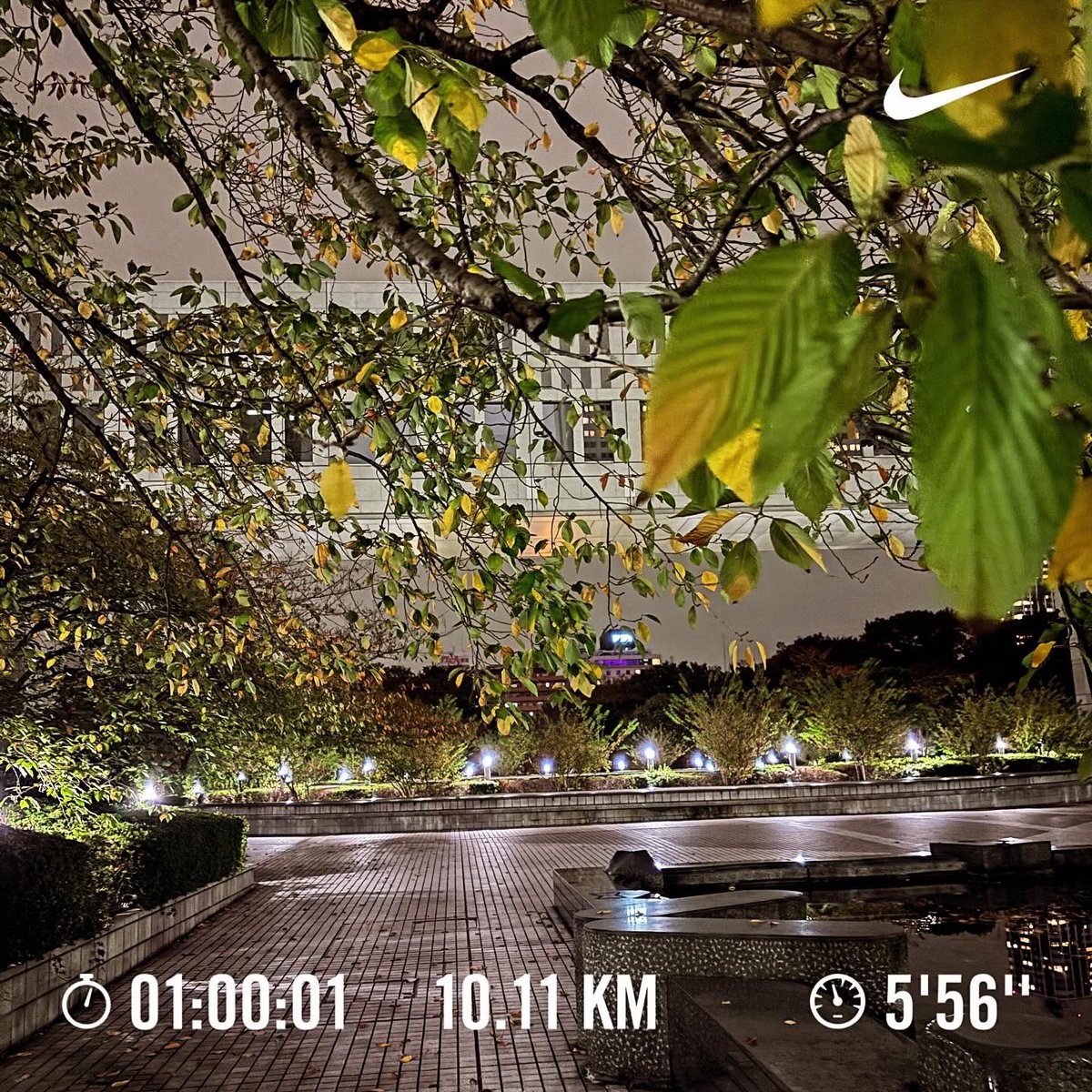 nishishinjuku4's tweet photo. #夜ラン #夜トレ #リハビリ #筋トレ #ランニング #ジョギング #nikerunclub #running #jogging⠀
#新宿中央公園 #十二社熊野神社
#sunday10k https://t.co/mSUH2TQv9y