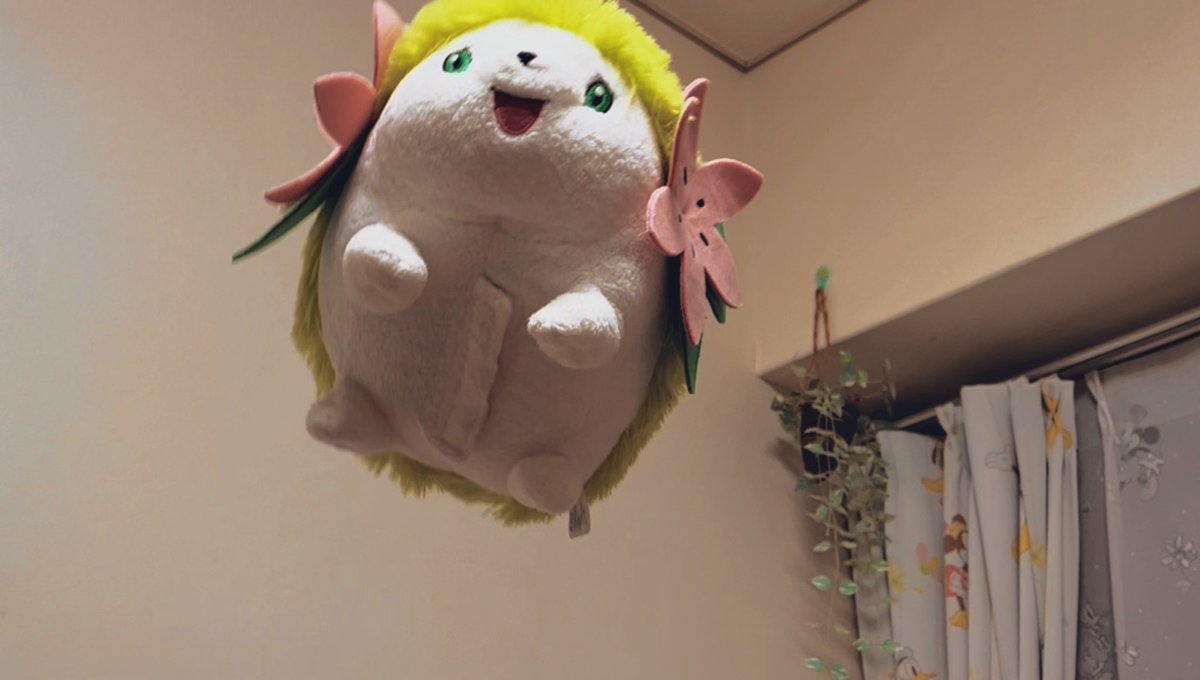 ポケモンおしゃべりぬいぐるみDPシェイミランドフォルム投げてたら