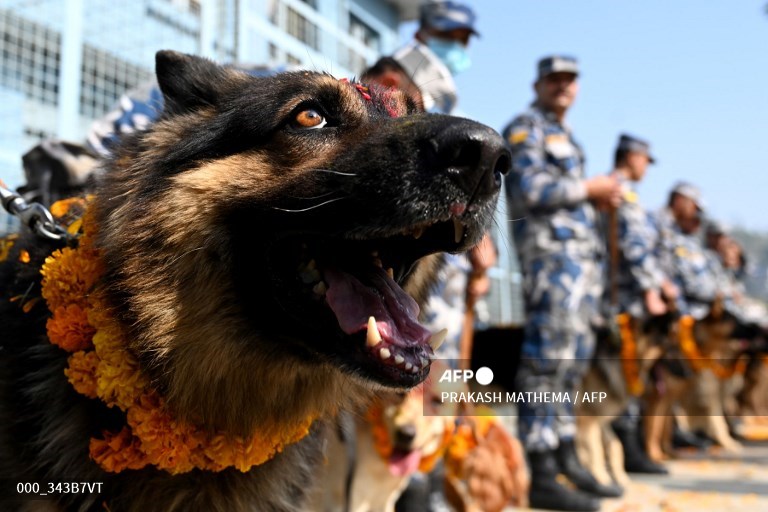 AFP Photo tweet media