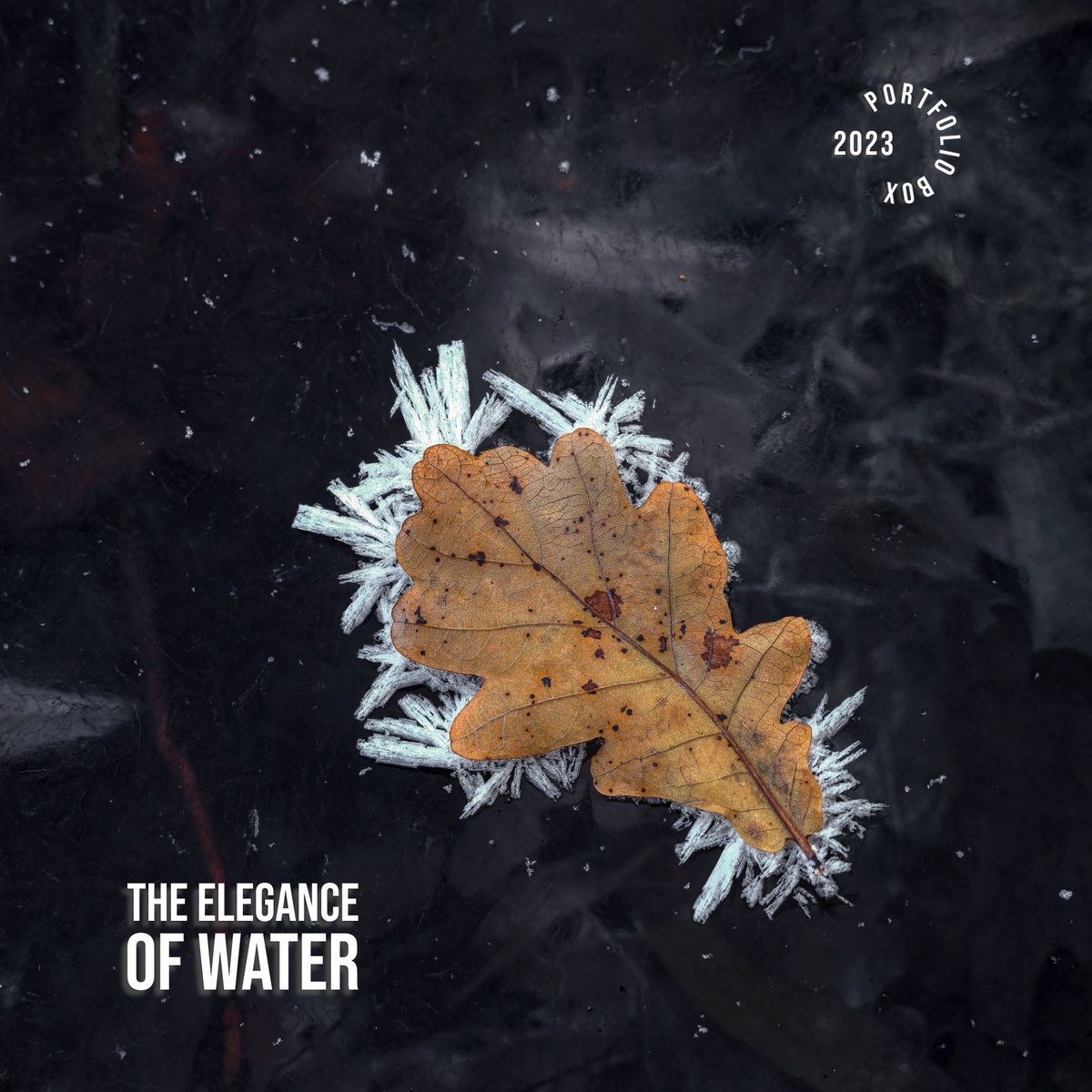 A Thoughtful Gift!
Searching for a unique and meaningful gift? My 2023 Portfolio Box is the perfect choice for art enthusiasts, nature lovers, and anyone who appreciates the elegance of minimalist design and the grandeur of water.
matthiasconradprints.com/en/products/po…