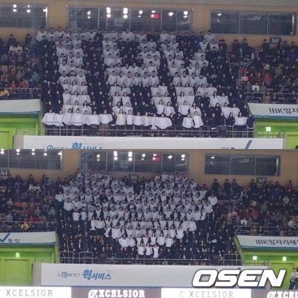 다체 tweet media