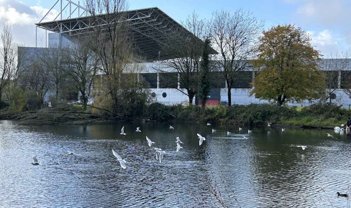 DeasyPamela's tweet photo. #matchready #supersunday @OfficialCorkGAA @PaircUiCha0imh great day for a game ๐ #upthehaven ๐ตโช๏ธ https://t.co/WnjQ7T8v2j